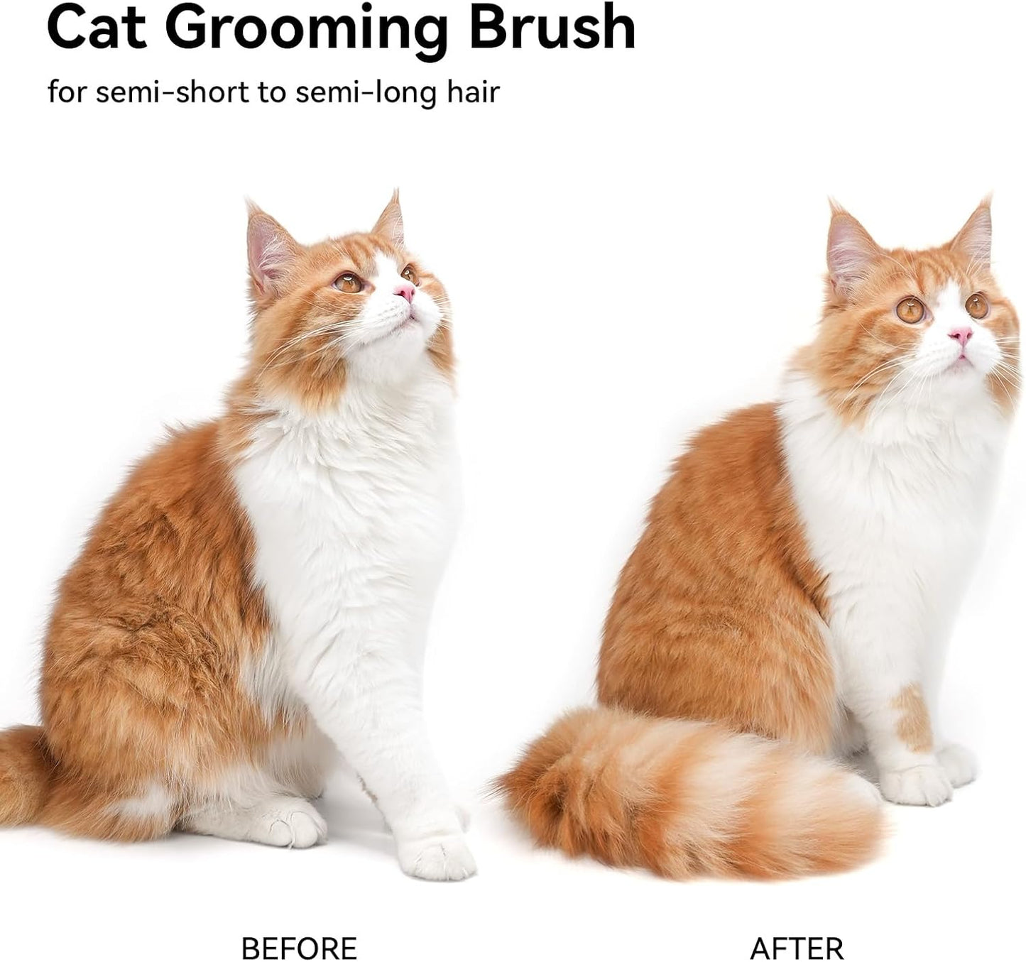 Gragelee® Pet Spray Comb