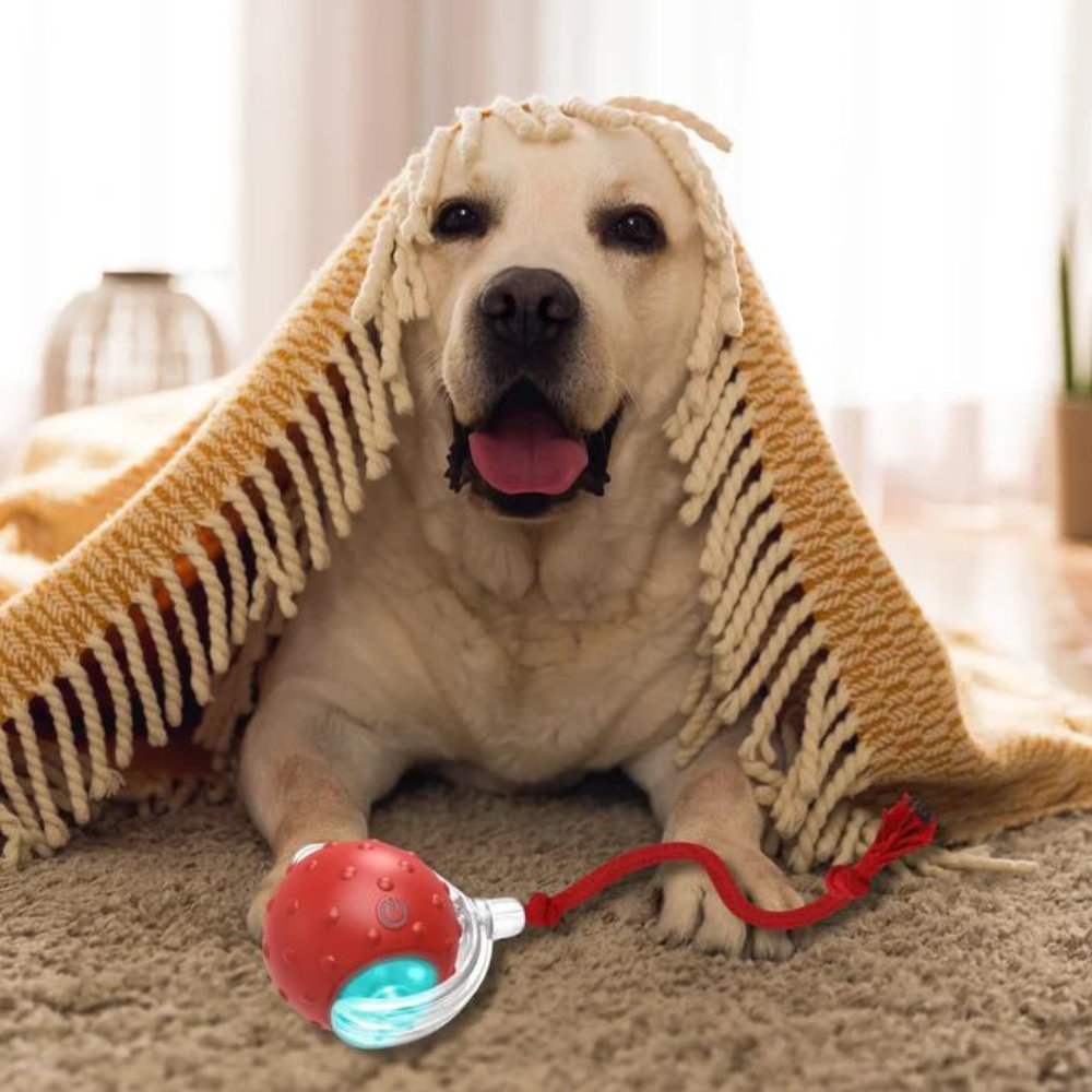 Gragelee • Rolling Ball Toy