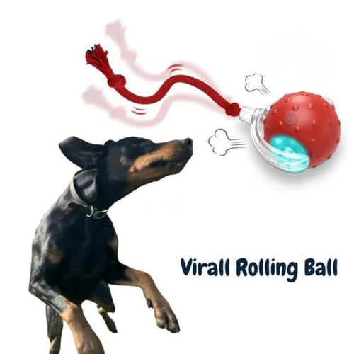 Gragelee • Rolling Ball Toy