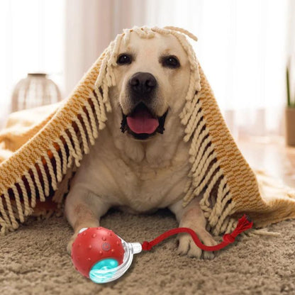 Gragelee • Rolling Ball Toy
